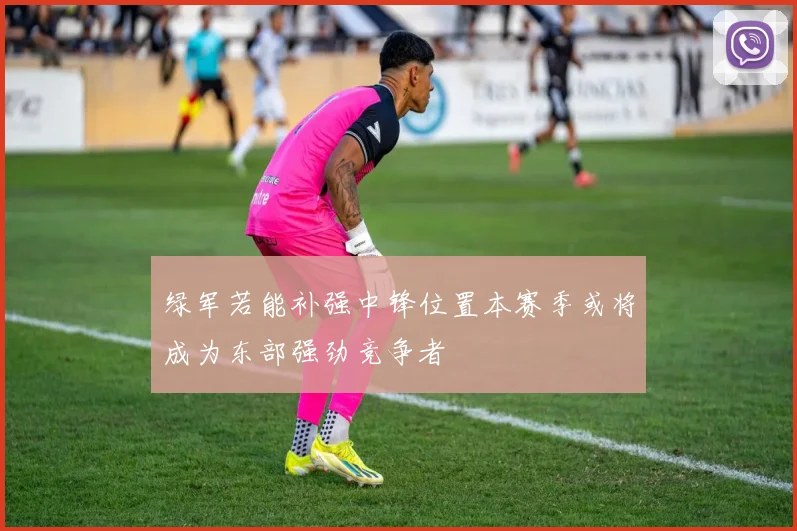 绿军若能补强中锋位置本赛季或将成为东部强劲竞争者