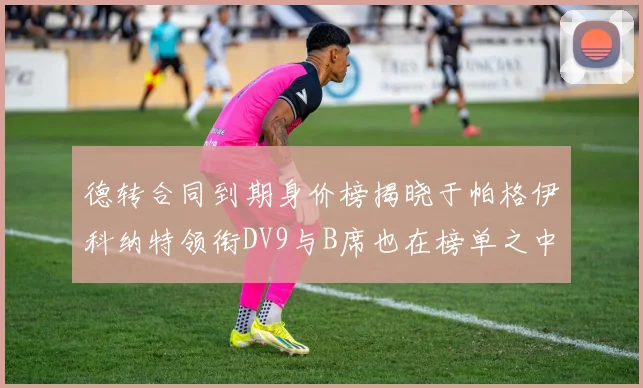 德转合同到期身价榜揭晓于帕格伊科纳特领衔DV9与B席也在榜单之中