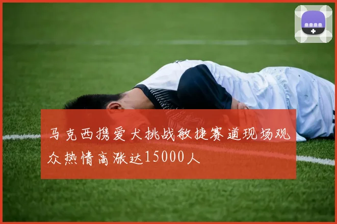马克西携爱犬挑战敏捷赛道现场观众热情高涨达15000人