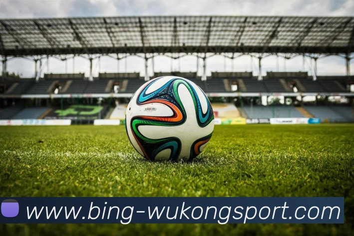 悟空体育APP 体育赛事宣传图